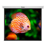 Miniatura do produto