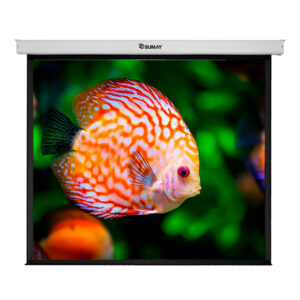 Tela de Projeção Elétrica Sumay 4x3 200”